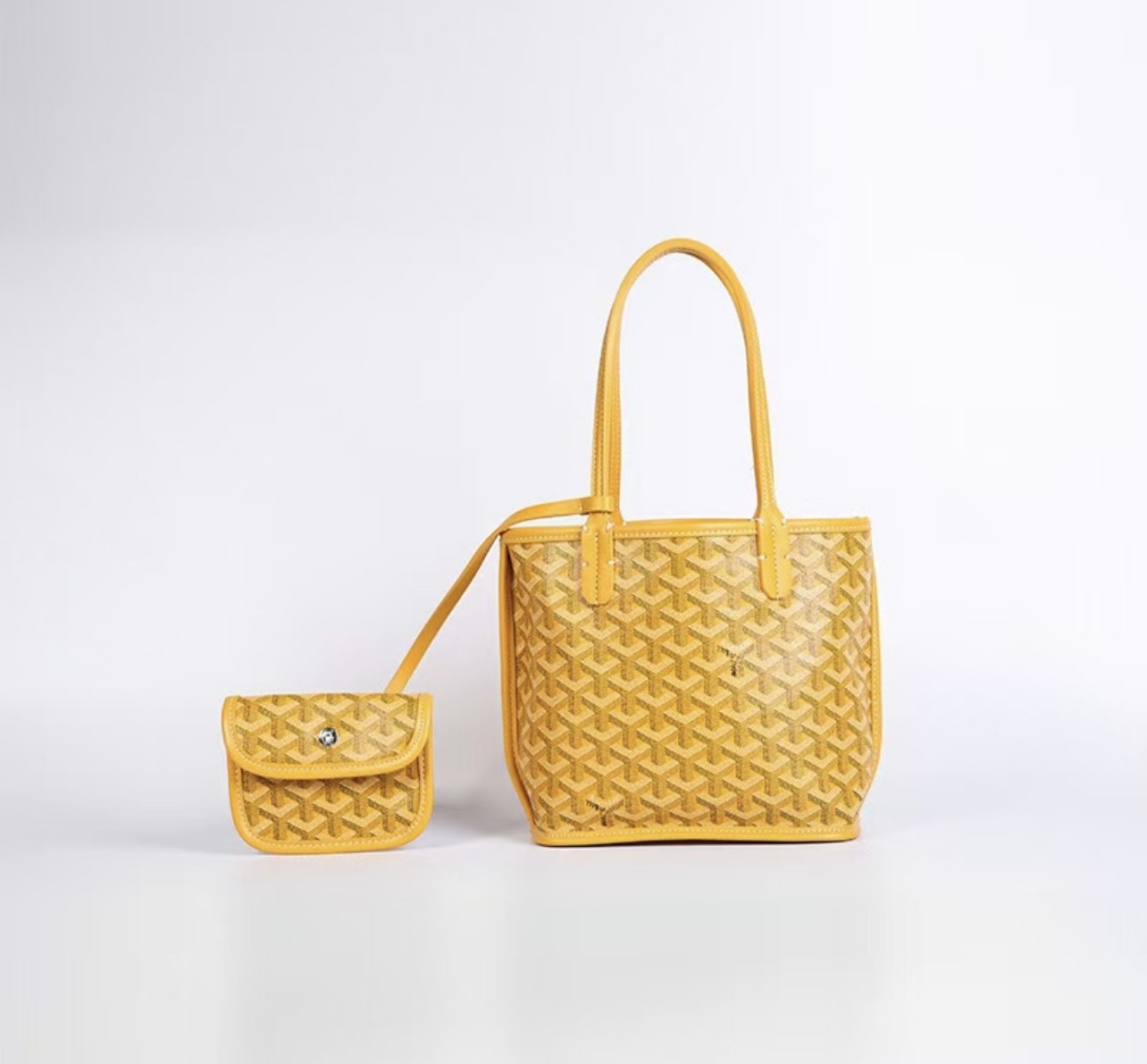 THE PETITE TOTE